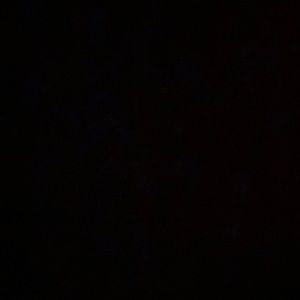 Meet your Posher, Jodie